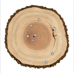 How do trees develop and grow?